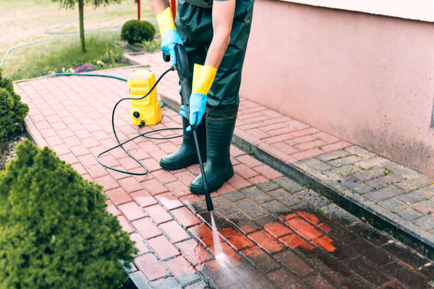 Best Driveway Pressure Washing  in Olympia Fields, IL